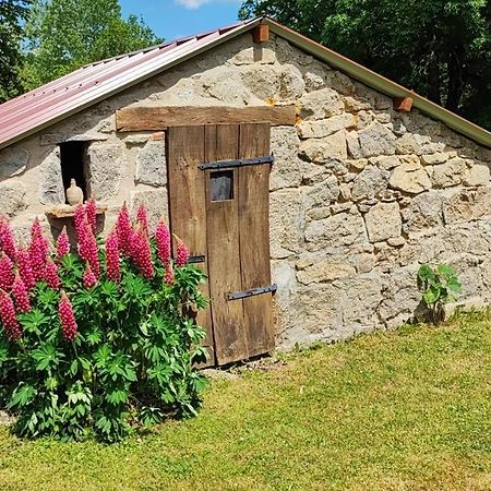 La Maison Du Mas Rando Saint-Georges-Nigremont Dış mekan fotoğraf