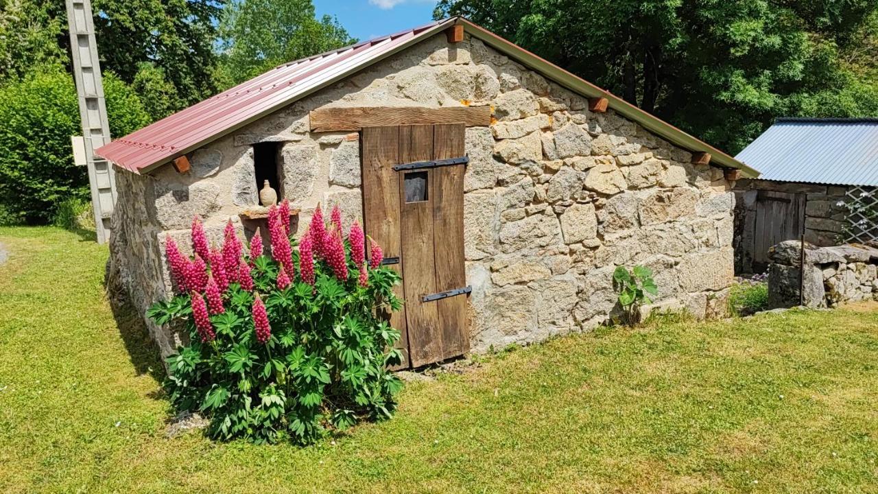 La Maison Du Mas Rando Saint-Georges-Nigremont Dış mekan fotoğraf