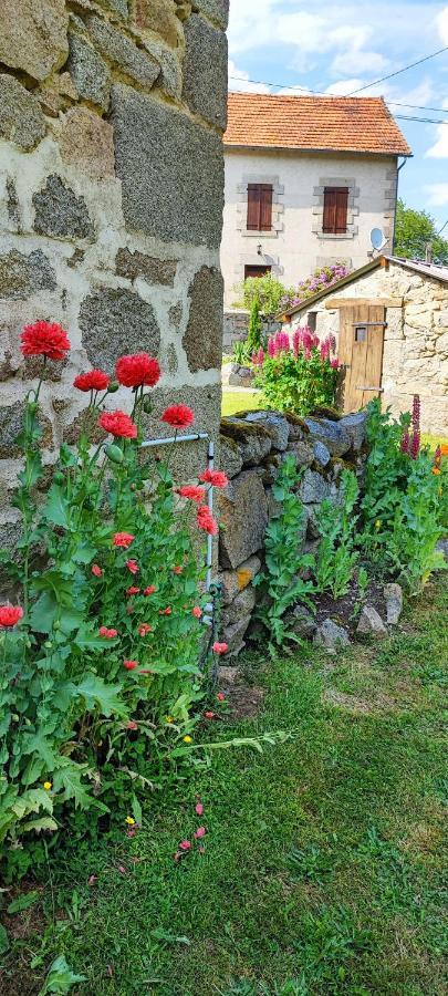 La Maison Du Mas Rando Saint-Georges-Nigremont Dış mekan fotoğraf
